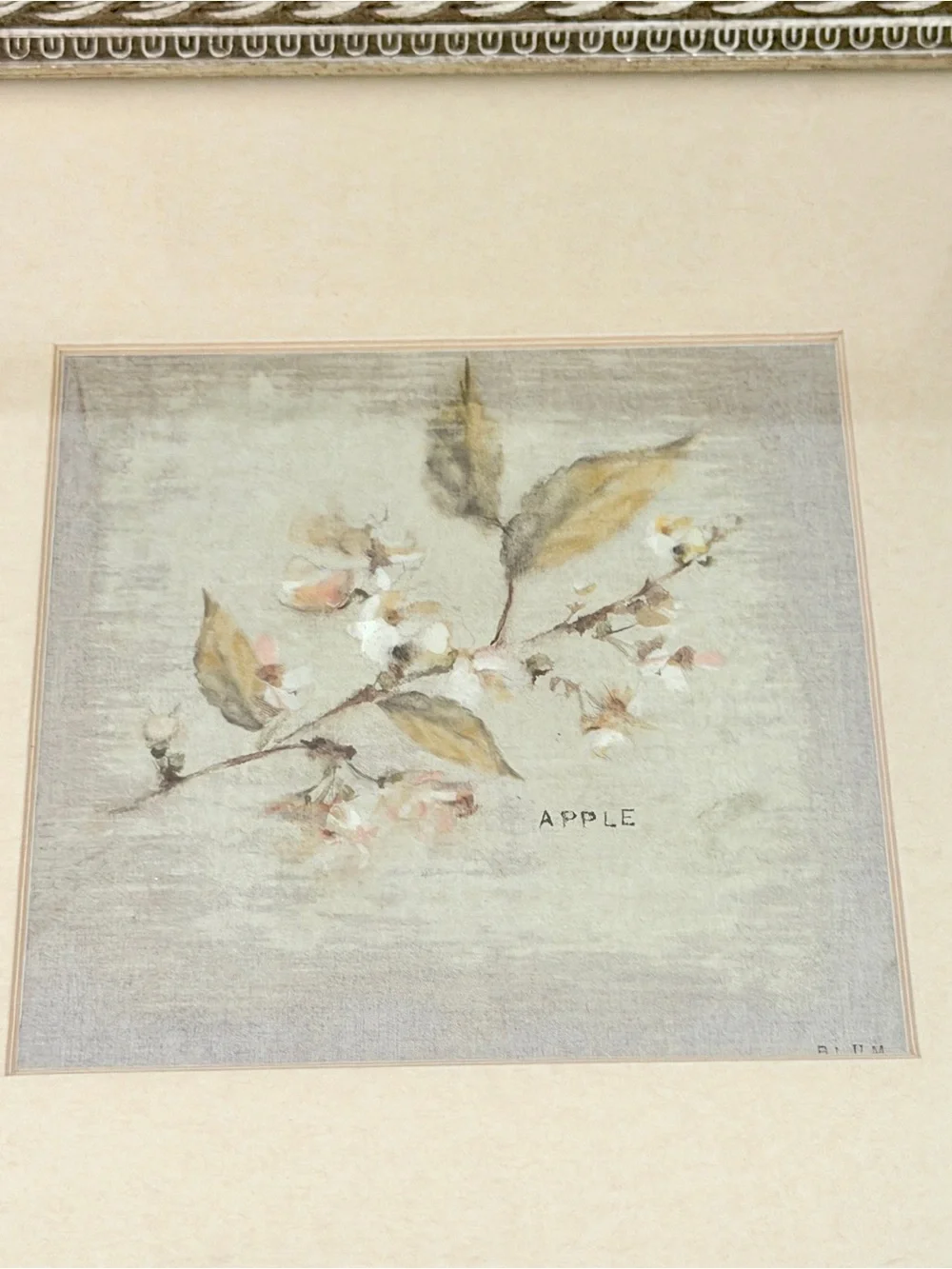 Dogwood & Apple Tree Branch Spring Cheri Blum Cottage Art Framed Wall Hanging
